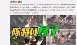 熊二峰爆料视频大全集下载,揭秘幕后真相，带你走进事件核心