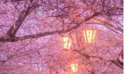 拖鞋妹在线观看 下载,在线观看与下载，轻松畅享欢乐时光